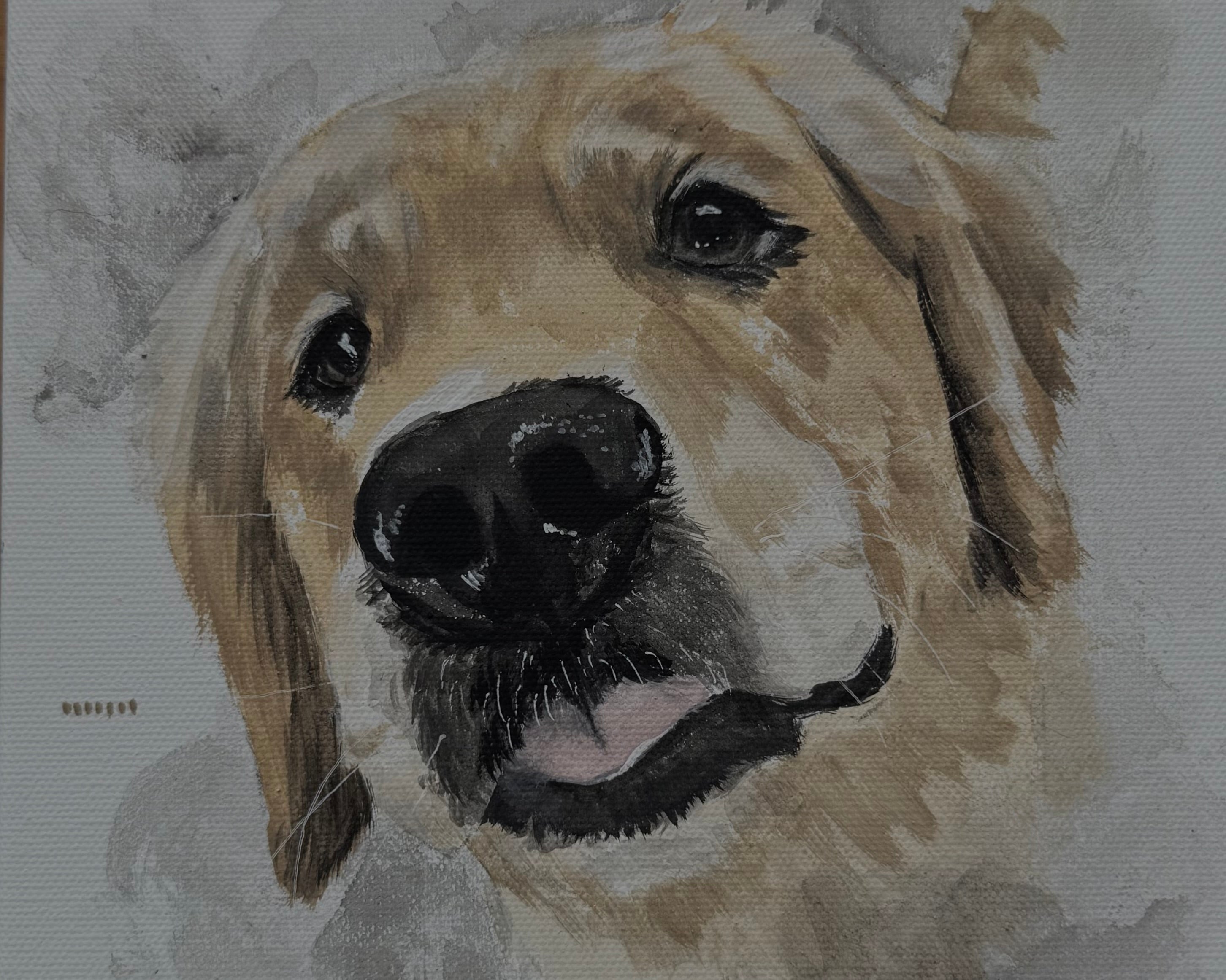 PET PORTRAITS