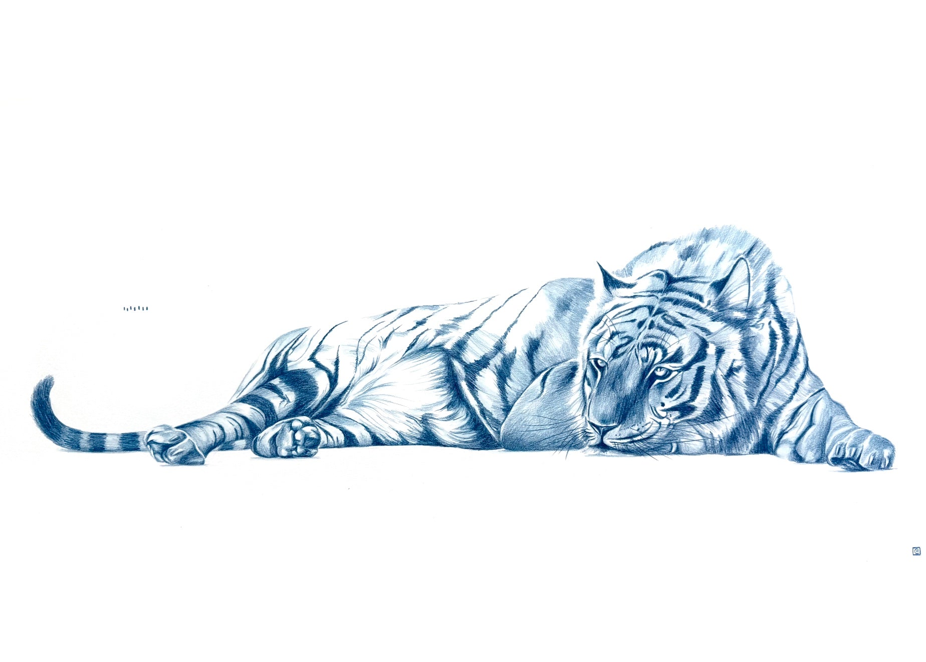 "QUIETUDE" PRINT